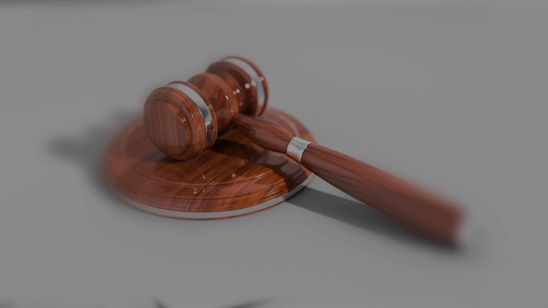 judge-volunteer-back