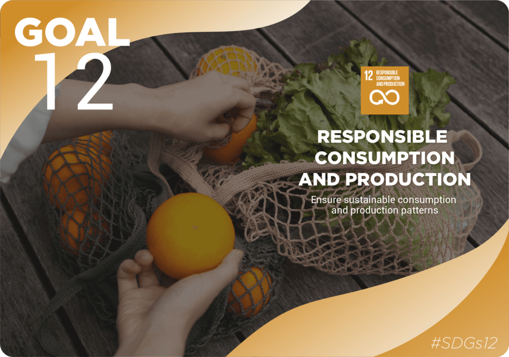 12. RESPONSIBLE CONSUMPTION AND PRODUCTION - UKANDOIT GLOBAL